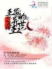 妃从天降:王爷的异世王妃