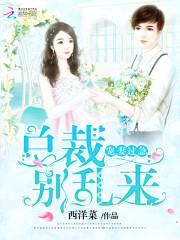 宠妻过急:总裁,别乱来!