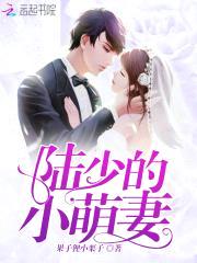 盛世宠爱:总裁大佬的小娇妻