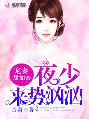 嘘,神秘老公已上线