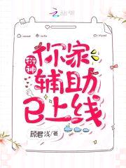 衍神,你家辅助已上线!