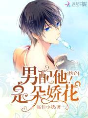 快穿:男配他是朵娇花