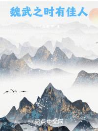 魏武之时有佳人