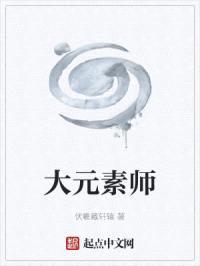 大元素师